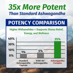 1 Body Ashwagandha Complex packaging box showing clean allergen-free formula