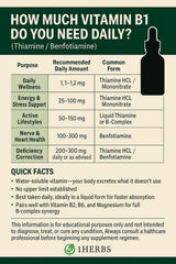 1Herbs Liquid Thiamine drops measure for easy daily use and fast absorption.