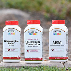 21st Century Glucosamine Chondroitin label emphasizes active lifestyle support.