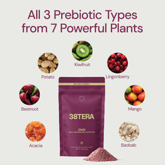 38TERA DMN smoothie idea suggests easy daily integration for gut-friendly routines.