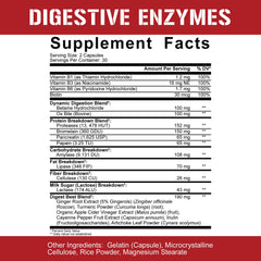 Detail of ingredients graphic highlighting enzymes, fiber, and probiotic strains.