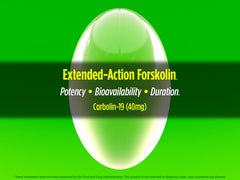 Biotest Carbolin 19 serving scoop for accurate dosing