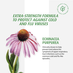 Illustration showing clinical support behind Echinaforce echinacea