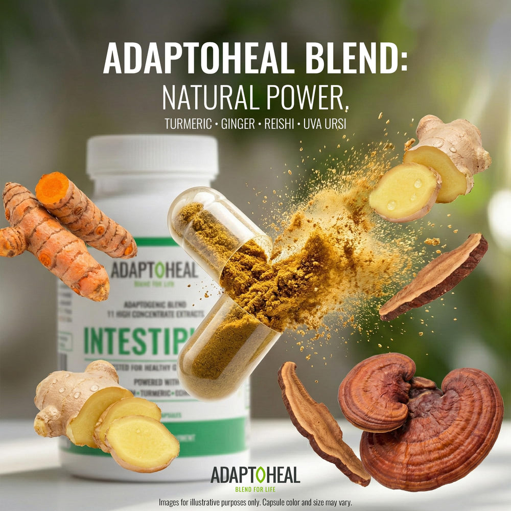 ADAPTOHEAL Intestiplus botanicals blend image spotlights 12-actives support