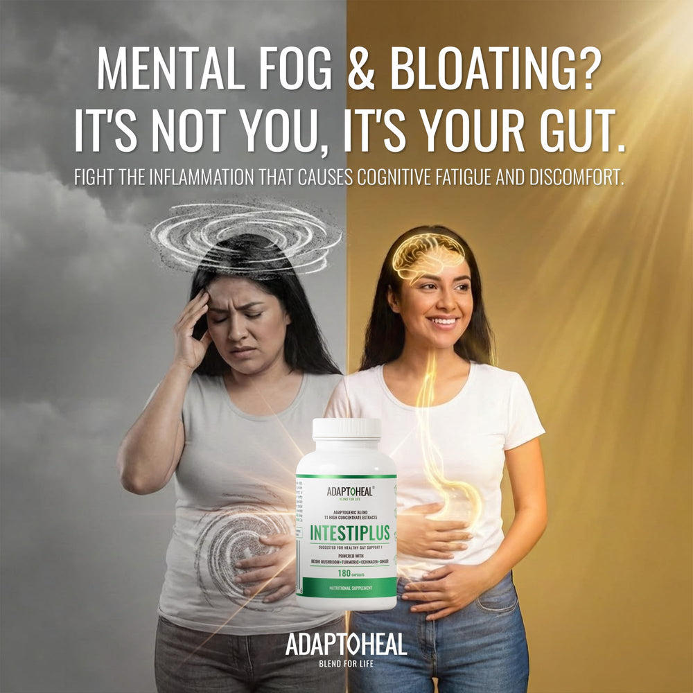 ADAPTOHEAL Intestiplus bottle side detail emphasizes barrier support and easy integration.