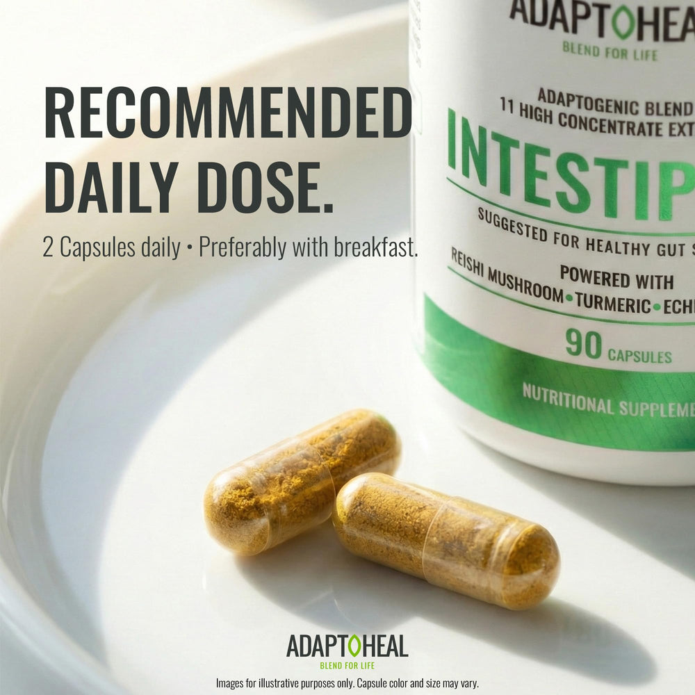 ADAPTOHEAL Intestiplus daily-dosing with meals illustration signals easy routine