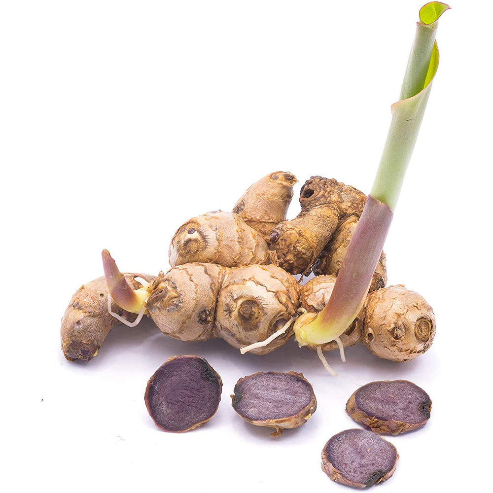 Addictive Wellness athlete ready for training uses Black Ginger.