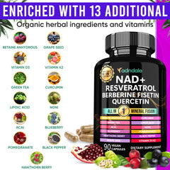 Adndale NAD liposomal capsules on white background for daily vitality.