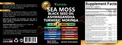 Adndale Sea Moss Capsules ingredients panel highlighting botanicals for daily vitality.