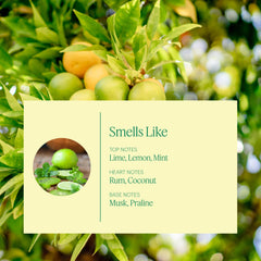 Aera Havana Breeze scent cloud showcases tropical notes and refreshing finish