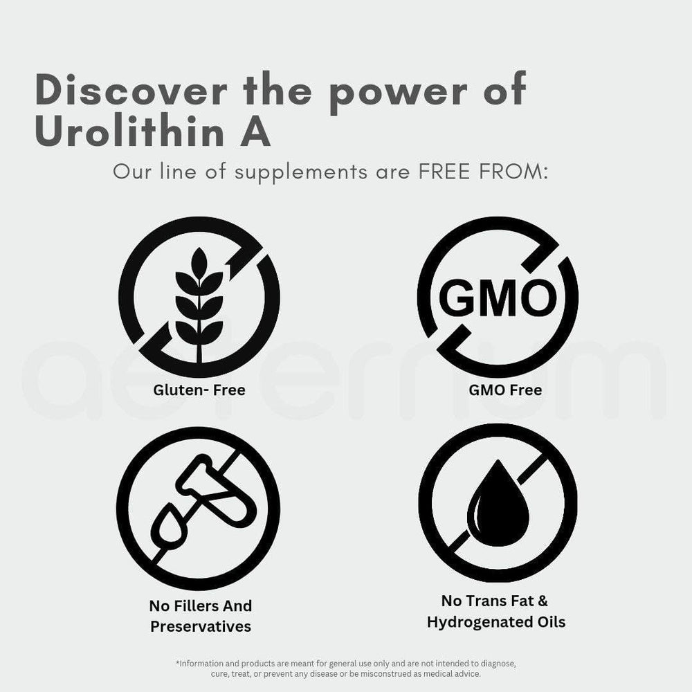 Aeternum Urolithin A powder with a 500 mg scoop for precise dosing.