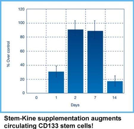 Aidan Stem-Kine graphic illustrating endothelial system support.