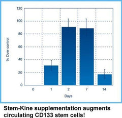 Aidan Stem-Kine graphic illustrating endothelial system support.