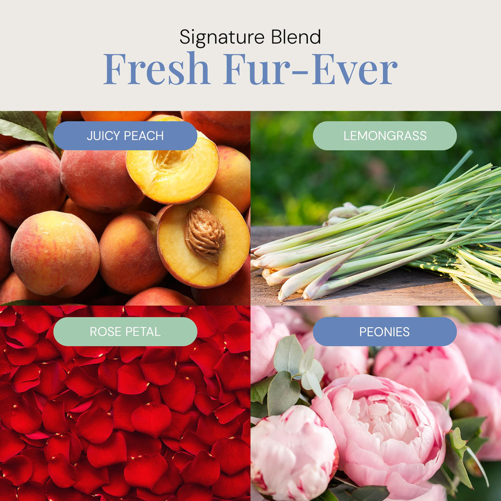 Air Esscentials Fresh Fur-Ever diffuser emit filling a room with scent
