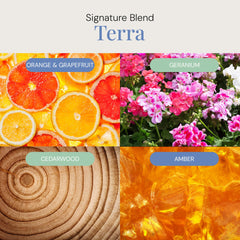 Air Esscentials Terra wood-amber blend adds upscale sophistication.