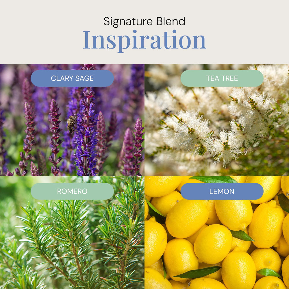 Air Esscentials Zesty Citrus Bloom scent swirls to energize spaces