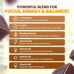 Ajevio organic Lions Mane and Cordyceps ingredients profile for plant-based energy.