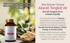 AKARALI Yellow Malaysian Tongkat Ali root from mature plants