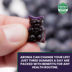 Close-up of Akronia Valley Aronia Berry Gummies with dark, glossy chews