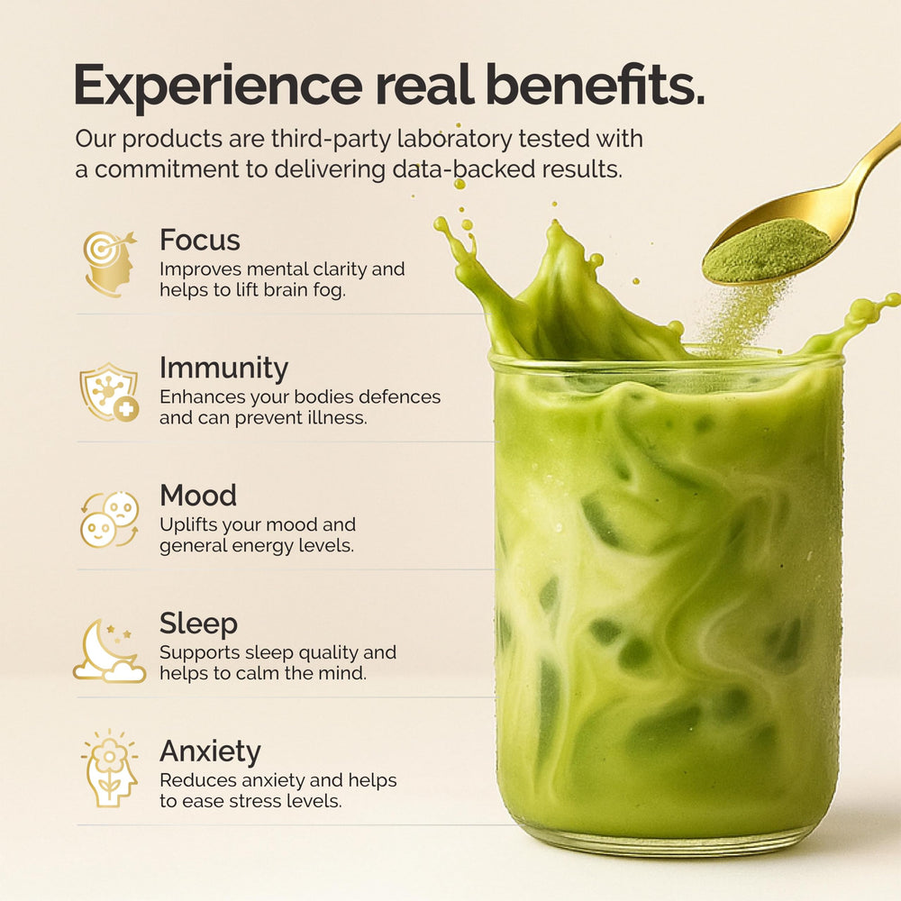alcami elements Matcha Mushroom Coffee cup steaming suggests calm alertness without jitters