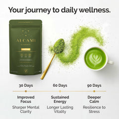 alcami elements Matcha Mushroom Coffee powder scoop emphasizes on-the-go focus and convenience