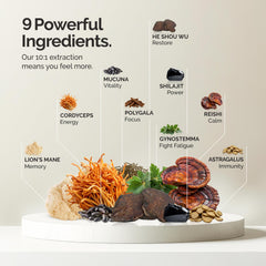 alcami elements Polygala root Shilajit Gynostemma visual suggests balanced energy.