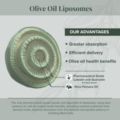 Algonot NeuroProtek Low Phenol olive pomace oil base supports flavonoid absorption