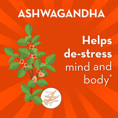 Align Probiotic Ashwagandha blend capsules indicating adaptogenic support for daily life.