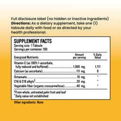 Alkalini-C Tabs label detail view, corn-free, GMO-free formula and plant-based ingredients