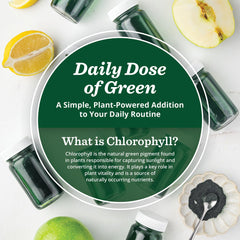 All About Juicing chlorophyll shot enhances a busy morning routine.