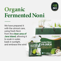 ALL BIO Noni fermentation process image suggests depth and aroma.