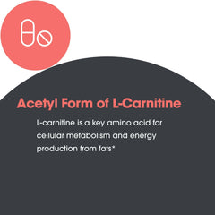 Allergy Research Group Acetyl-L-Carnitine 500mg capsules in daily routine.
