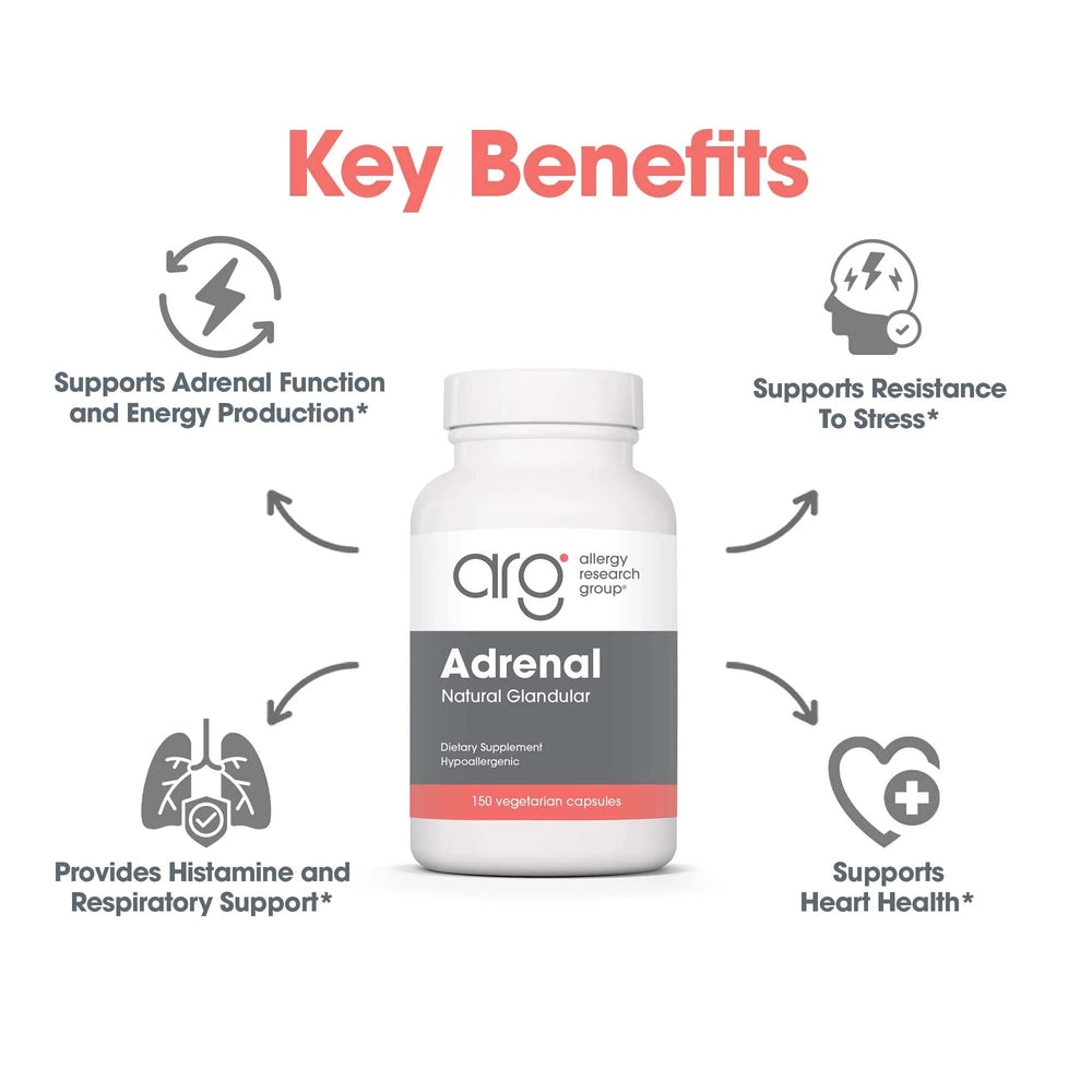 Allergy Research Group ARG Adrenal Cortex freeze-dried tissue close-up highlighting bioactive source