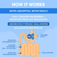 Alliwise 3 month supply of 180 capsules for consistent daily support