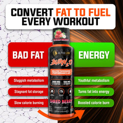 ALPHA LION Burn2O vegan sugar-free label highlights keto-friendly formula.