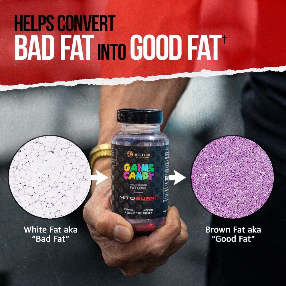 ALPHA LION Gains Candy with workout gear signals performance boost.