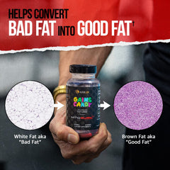 ALPHA LION Gains Candy with workout gear signals performance boost.