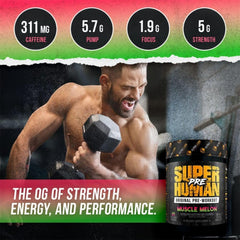ALPHA LION SXT sustained energy system graphic highlights steady focus during workouts
