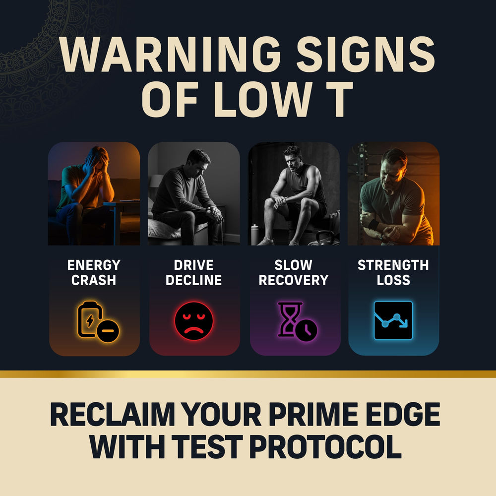 Alpha Tribe Test Protocol daily-use scene conveys consistent energy readiness
