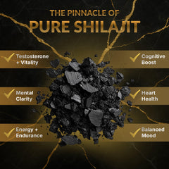 Altair Shilapure Altai mountains origin visual.