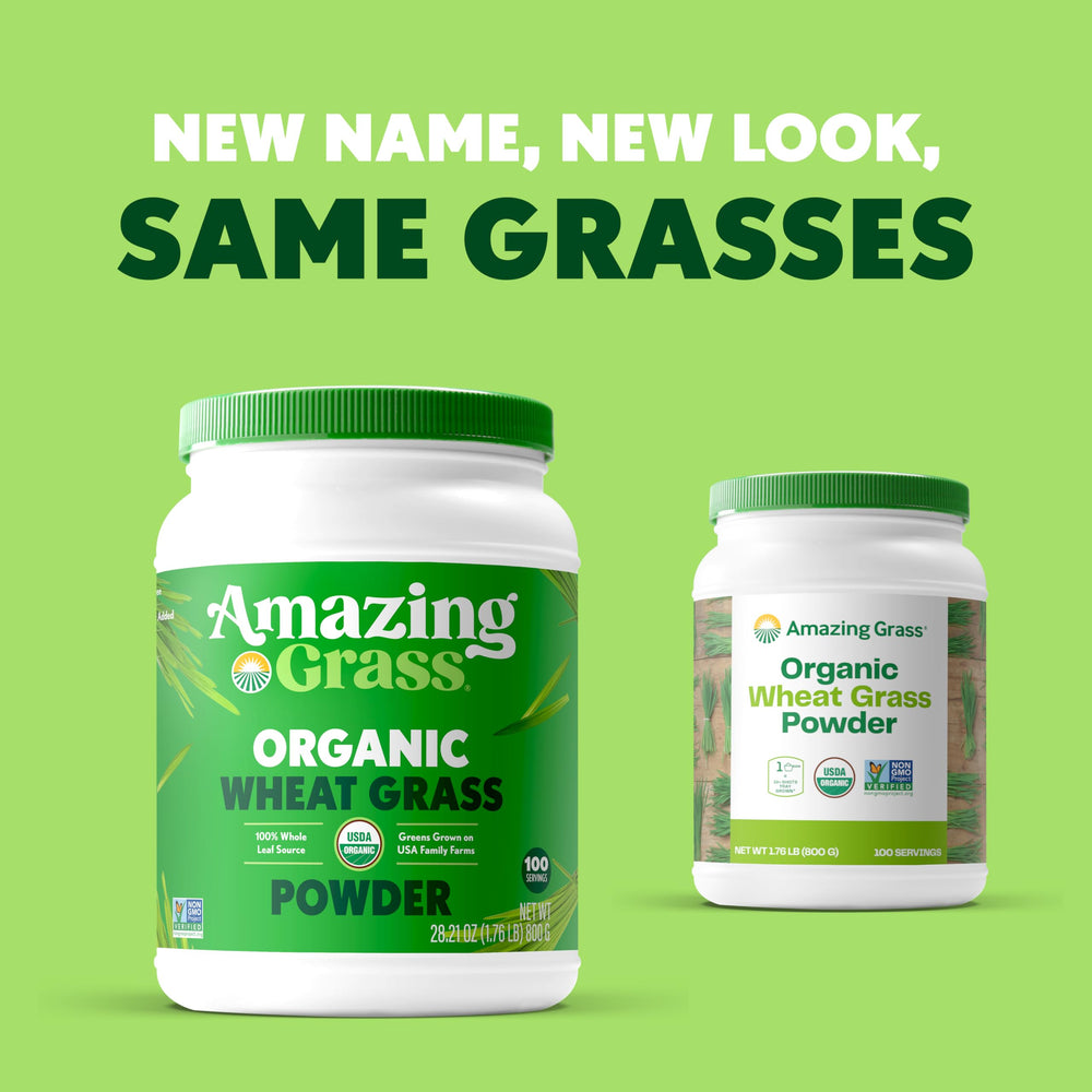 Amazing Grass Wheat Grass powder scoop ready for mixing with smoothies boosts nutrition.