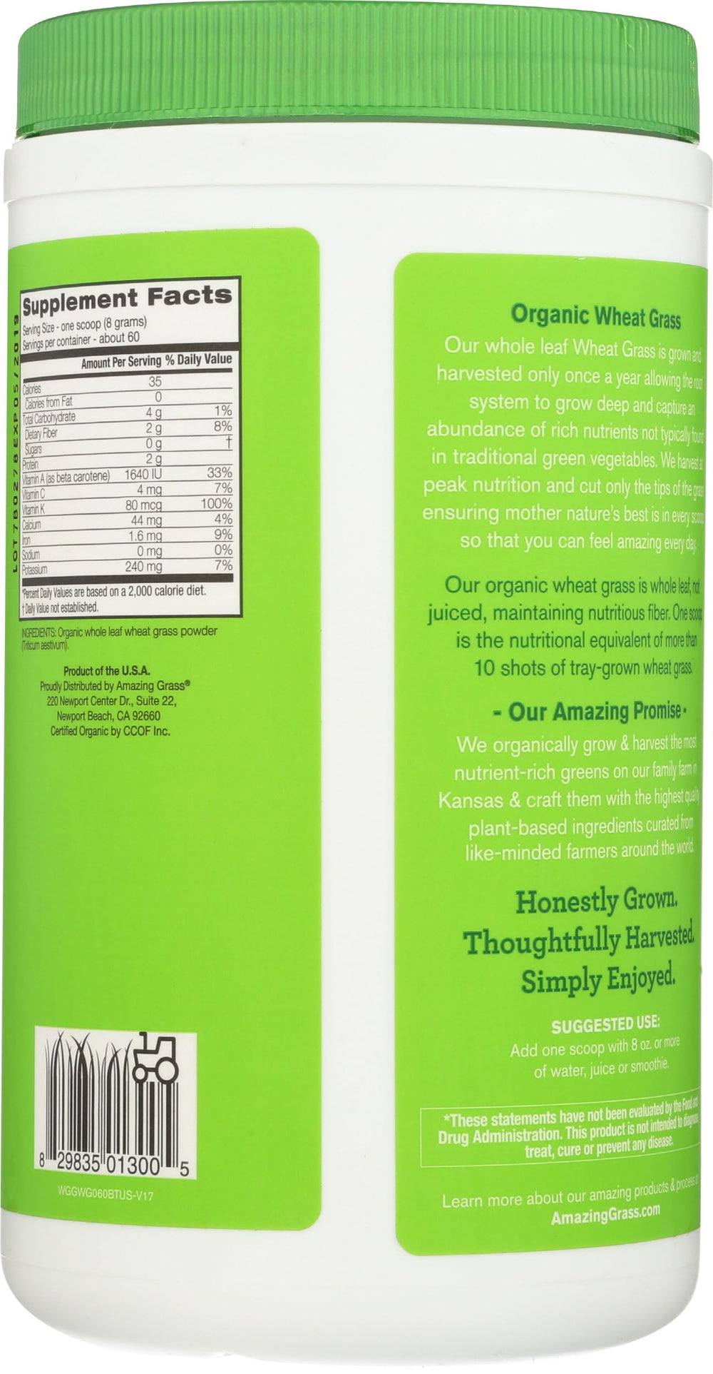 Amazing Grass Wheat Grass Powder scoop in hand for daily greens.