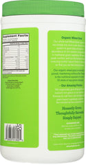 Amazing Grass Wheat Grass Powder scoop in hand for daily greens.