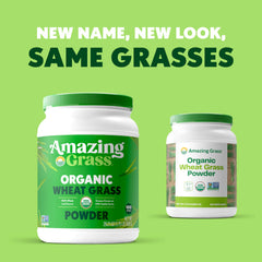 Amazing Grass Wheat Grass powder scoop ready for mixing with smoothies boosts nutrition.