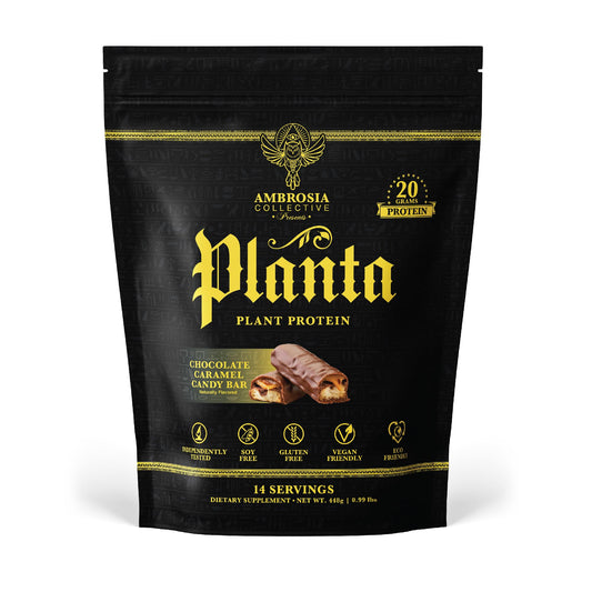 Ambrosia Planta bottle pour shows smooth lactose-free protein for quick shakes.