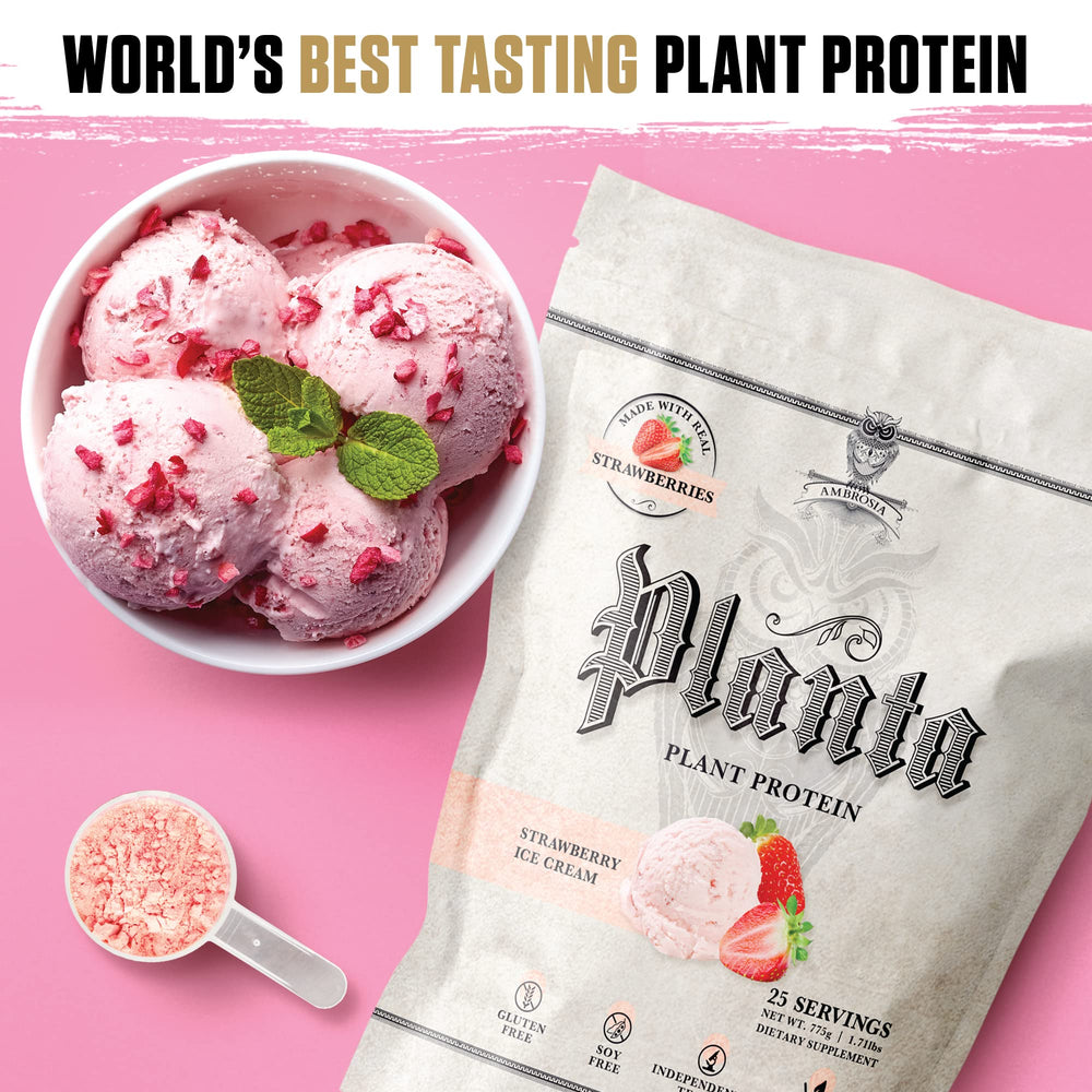 Ambrosia Planta fermented sunflower BCAAs for recovery support