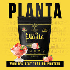 Ambrosia Planta no-added-sugar label for clean protein boosts
