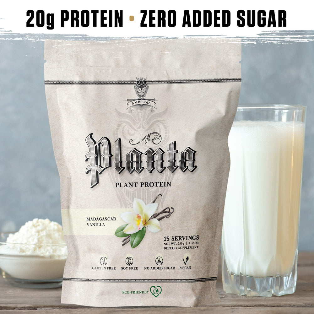 Ambrosia Planta vanilla shake in glass showing smooth, dessert-like texture.