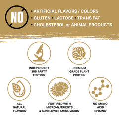 Ambrosia Planta smoothie serving suggestion with the powder