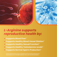 Motility Max bottle label displays key nutrients.
